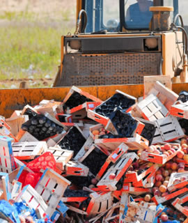 destruccion de alimentos notarial