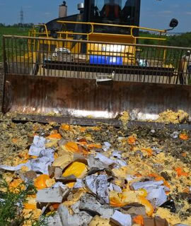 destruccion de alimentos notarial
